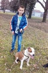 Izo Zoi Mehmedovic
