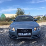 Siniša Raicevic