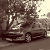 Todor